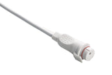 DRE Compatible IBP Adapter Cable - BD Connector - Pluscare Medical LLC