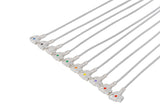 Philips Compatible Diagnostic ECG Cardiography shielded - 10 Leads 3mm Needle - Pluscare Medical LLC