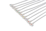 Philips Compatible Diagnostic ECG Cardiography shielded - 10 Leads Grabber - Pluscare Medical LLC