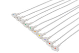 Philips Compatible Diagnostic ECG Cardiography shielded - 10 Leads Snap - Pluscare Medical LLC